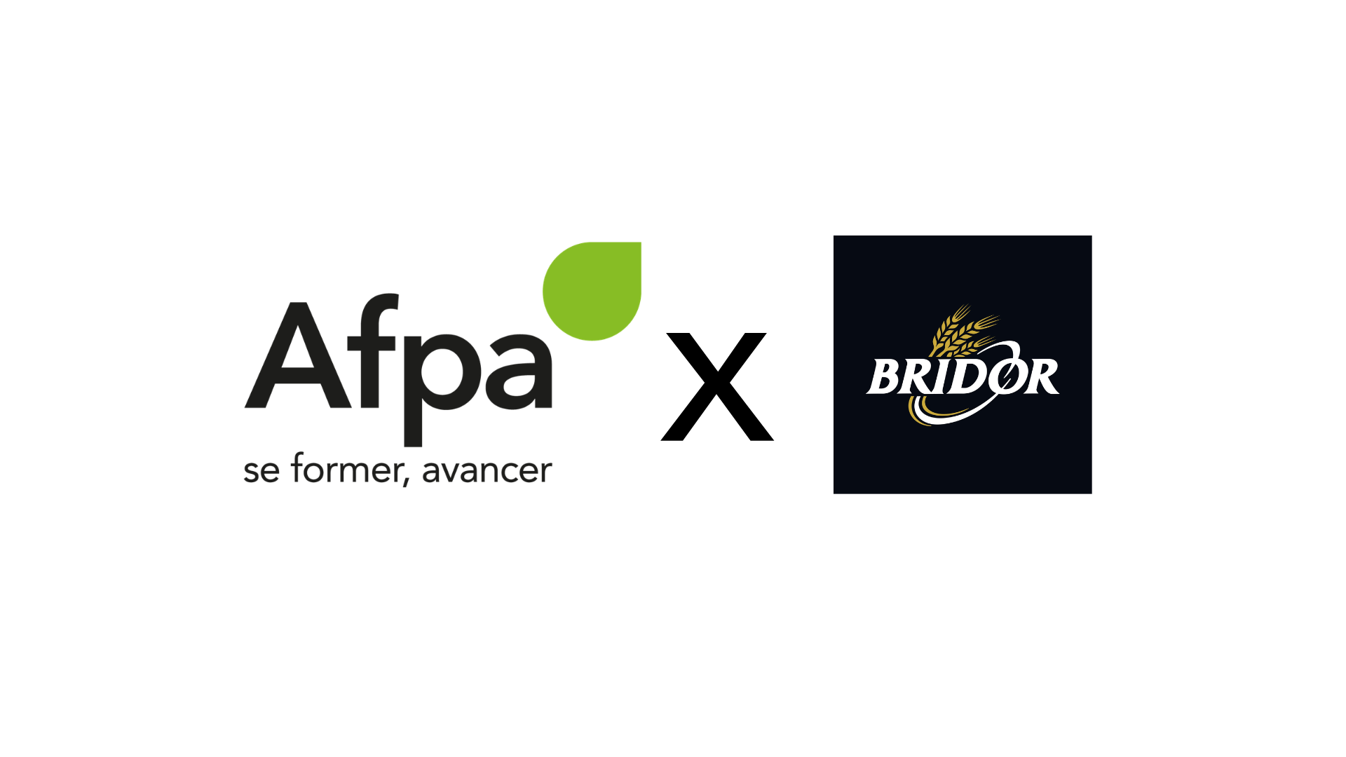 Afpa X Bridor