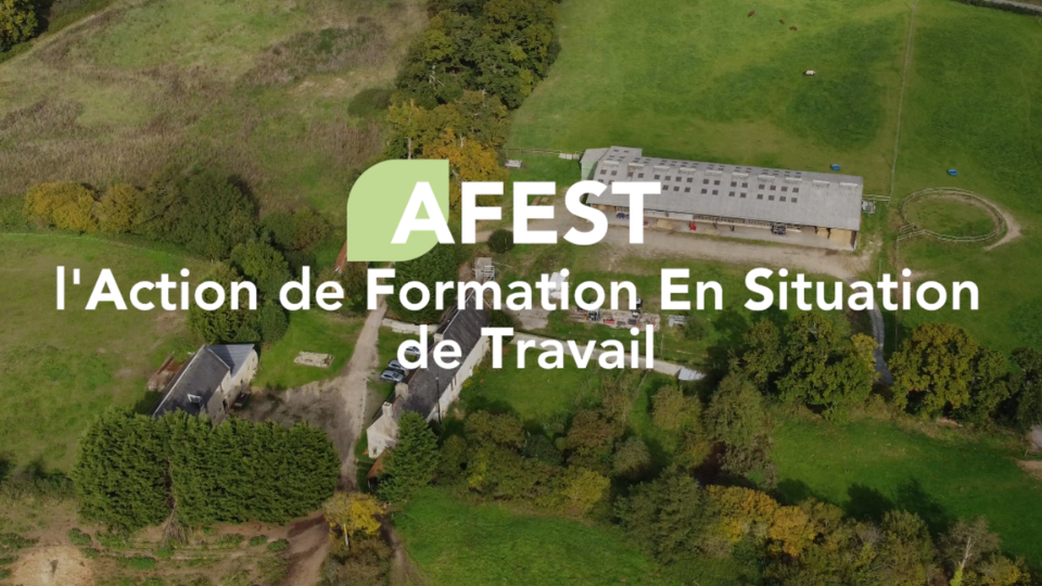 L’AFEST au cœur du terrain : immersion au Haras de St Blaize !